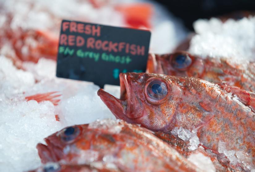 Rockfish on ice at a fishermen's market